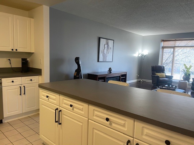 875 East 22nd Street, Unit 204 Lombard, IL 60148 - Photo 27 of 47 a kitchen with cabinets a window and stainless steel appliances