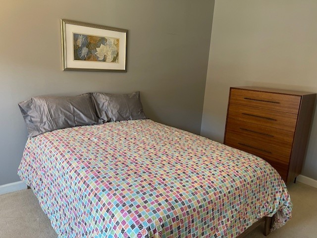 875 East 22nd Street, Unit 204 Lombard, IL 60148 - Photo 29 of 47 a bedroom with a bed and painting on the wall