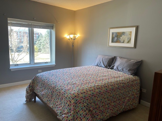 875 East 22nd Street, Unit 204 Lombard, IL 60148 - Photo 30 of 47 a bedroom with a bed and a window