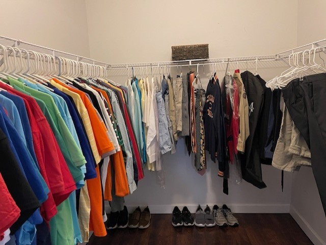 875 East 22nd Street, Unit 204 Lombard, IL 60148 - Photo 31 of 47 a view of walk in closet with clothes and shoes
