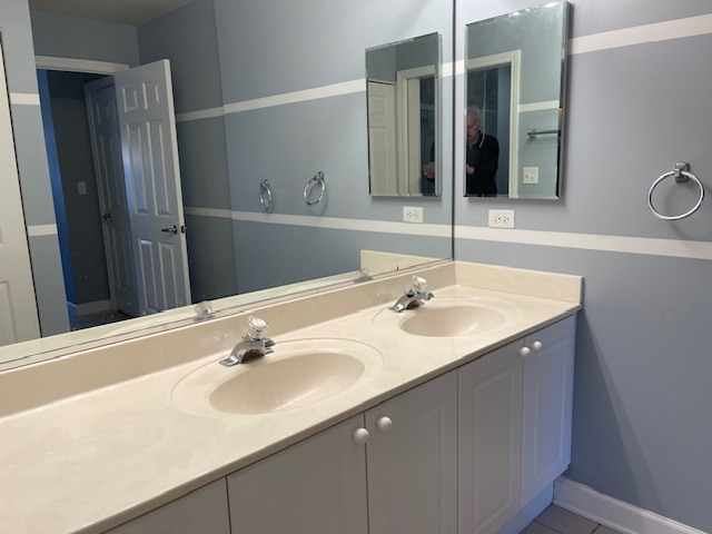 875 East 22nd Street, Unit 204 Lombard, IL 60148 - Photo 32 of 47 a bathroom with a sink and a mirror