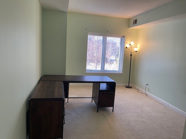 875 East 22nd Street, Unit 204 Lombard, IL 60148 - Photo 37 of 47 a room with furniture and window