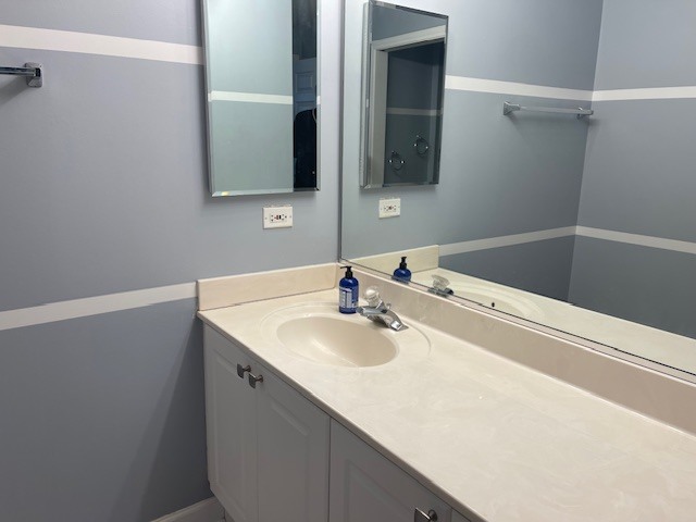 875 East 22nd Street, Unit 204 Lombard, IL 60148 - Photo 38 of 47 a bathroom with a sink and a mirror