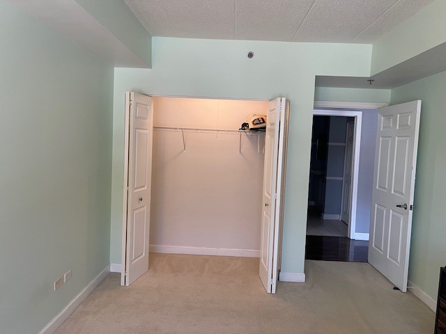 875 East 22nd Street, Unit 204 Lombard, IL 60148 - Photo 40 of 47 an empty room with closet