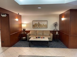 875 East 22nd Street, Unit 204 Lombard, IL 60148 - Photo 42 of 47 a living room with furniture and a rug