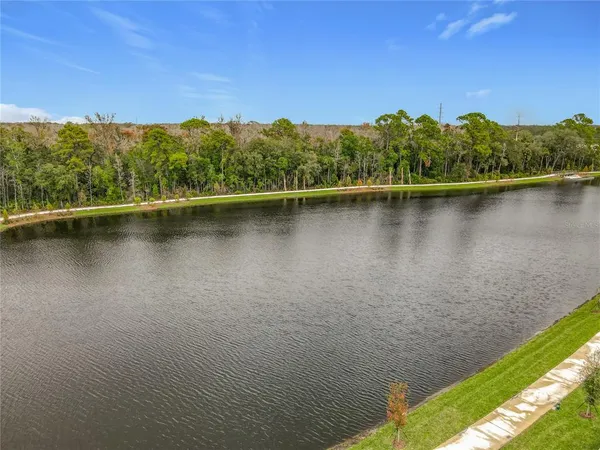 a view of a lake with a mountain in the background