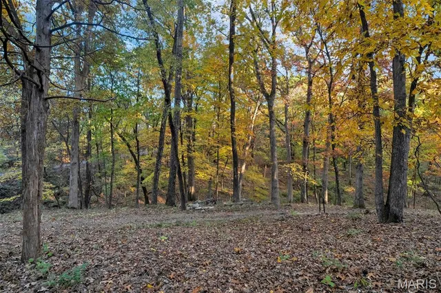 $700,000 | 1925 Wild Horse Creek Road, Wildwood, MO 63038