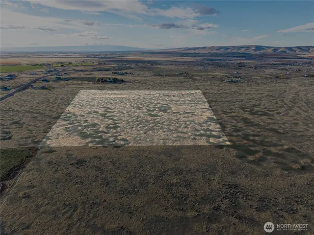 a view of a dry yard with wooden floor