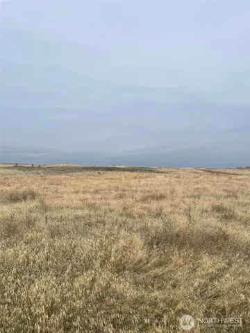 a bathroom with a green walls and a shower