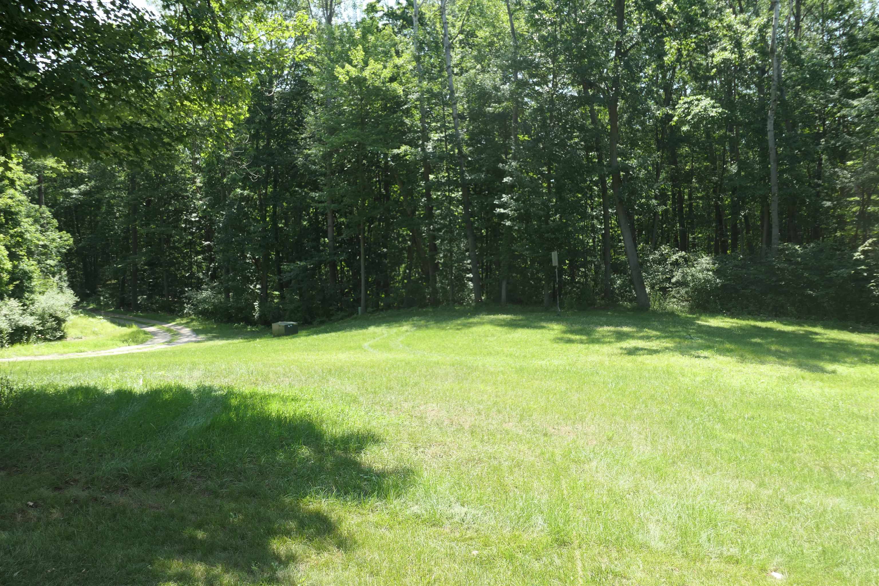 4769 Feather Trail Edmore, MI 48829 - Photo 48 of 53