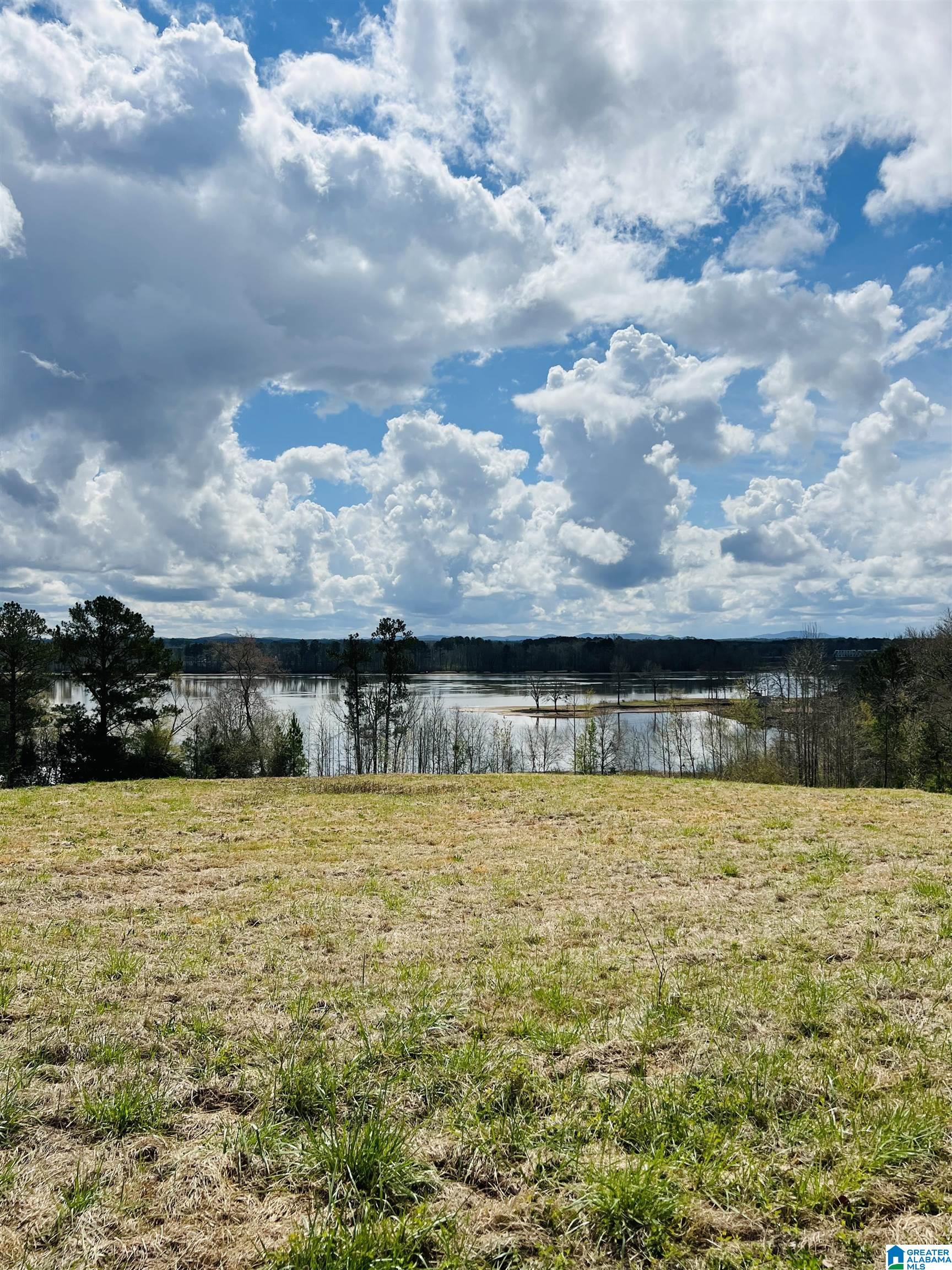 Stewart Road, Unit 8 Riverside, AL 35135 - Photo 1 of 7