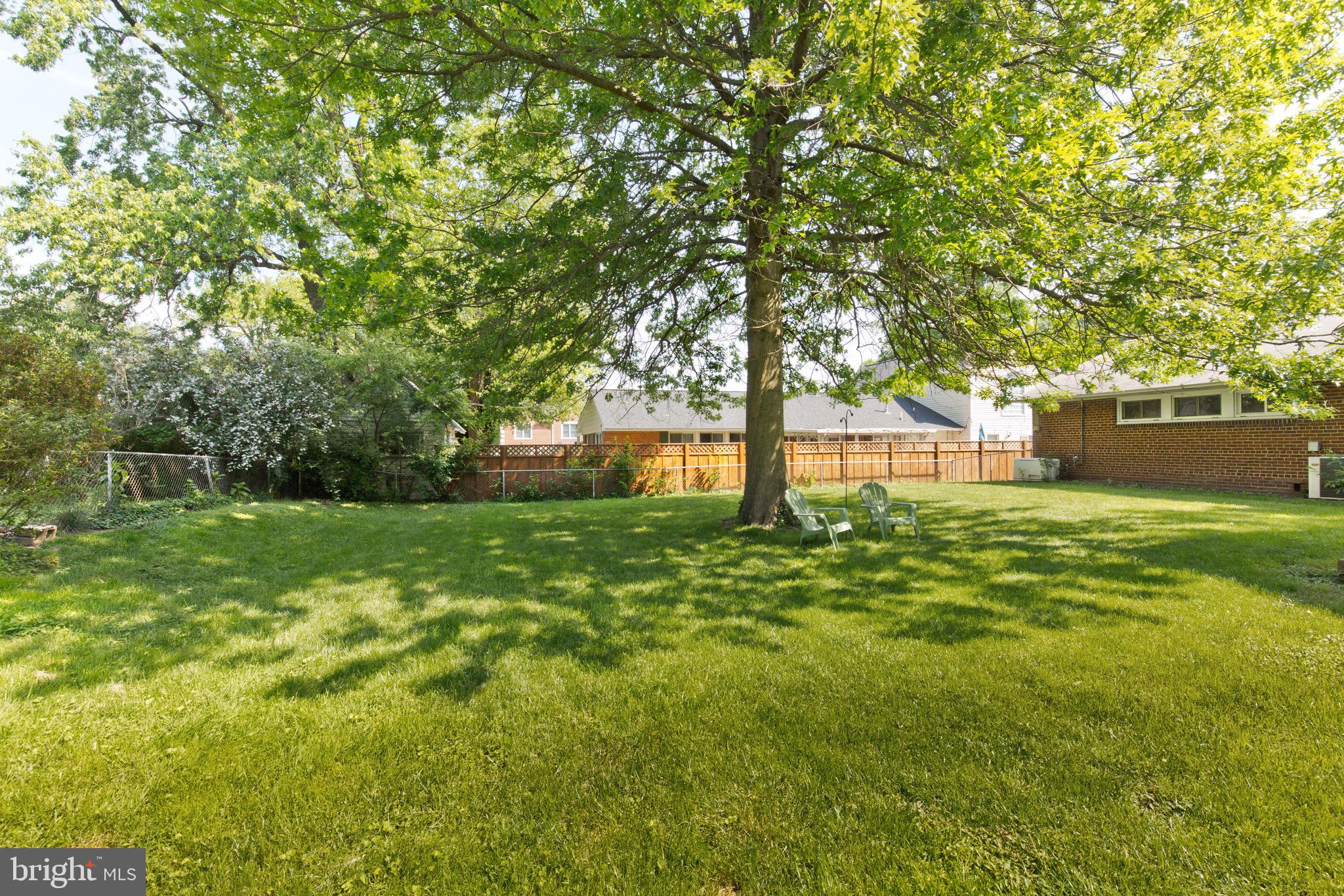 5902 Hanover Avenue Springfield, VA 22150 - Photo 23 of 28 Back yard