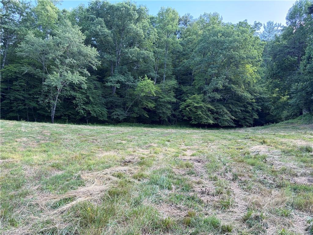 1779 Roundhill Church Road Traphill, NC 28685 - Photo 33 of 48 Gallery Image 33