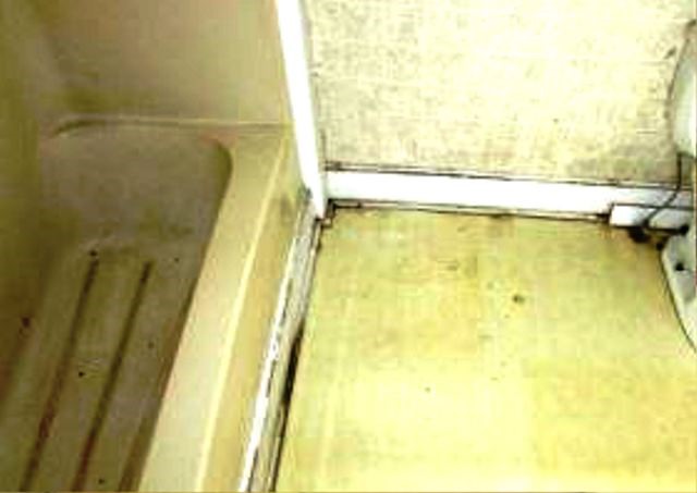 7 Allen Street Pelzer, SC 29669 - Photo 7 of 7