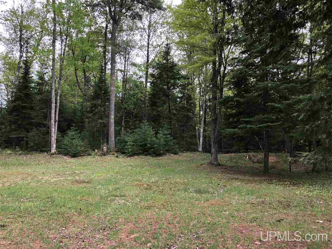 Tbd River Road, Unit PARCEL 3 Gulliver, MI 49854 - Photo 23 of 42