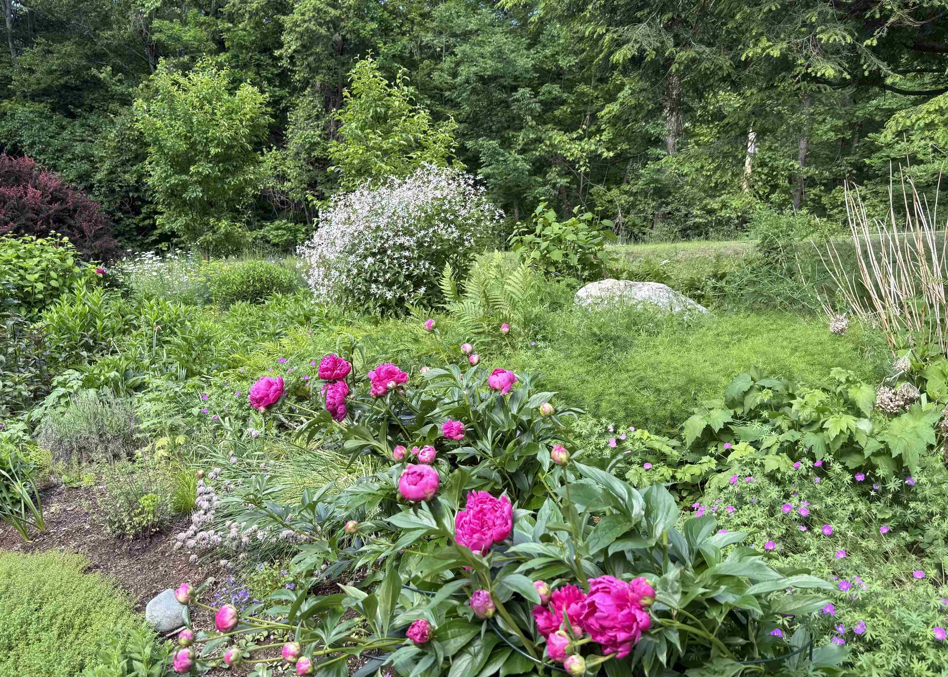 609 Marsh Family Road Hartford, VT 05059 - Photo 4 of 33