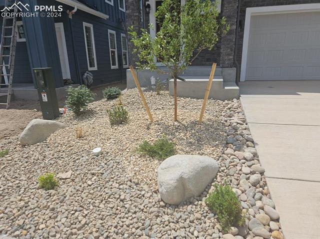 17708 Lemon Rye Loop Monument, CO 80132 - Photo 2 of 15 Front yard xeriscape