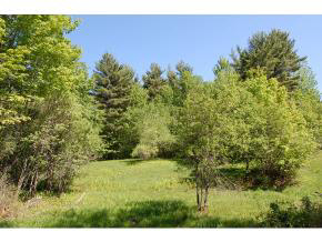 506 4 Corners Road Springfield, NH 03284 - Photo 15 of 17