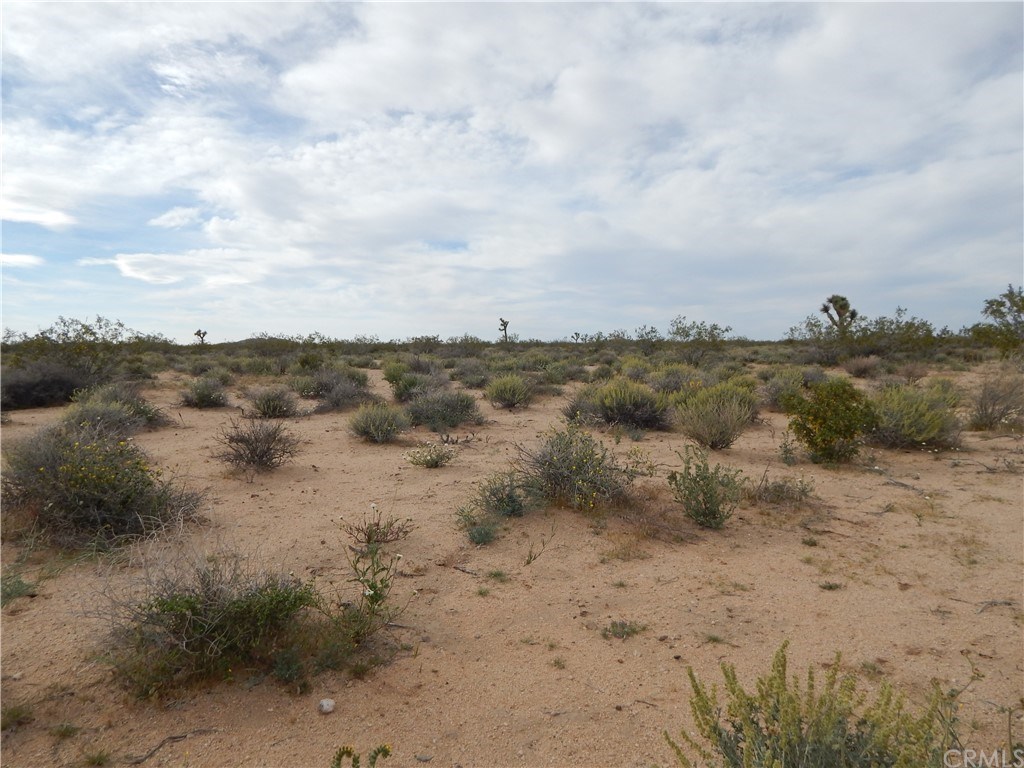 0 Whitmore Road Joshua Tree, CA 92252 - Photo 1 of 1