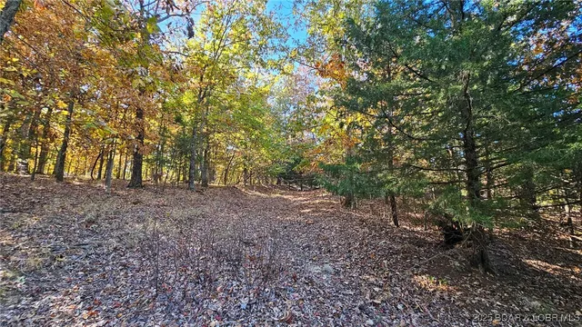 $27,000 | Lot #1387 Via Bella Vista, Sunrise Beach, MO 65079