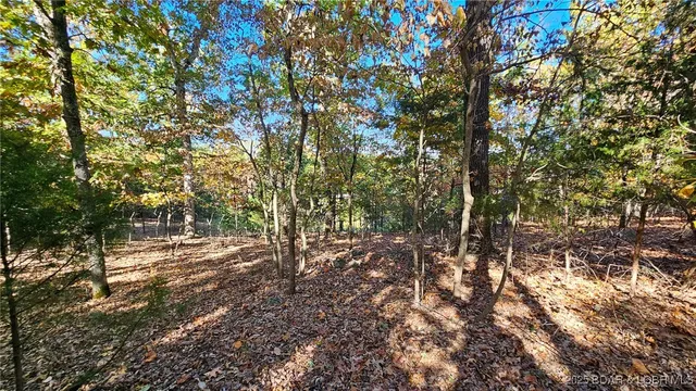 $27,000 | Lot #1387 Via Bella Vista, Sunrise Beach, MO 65079