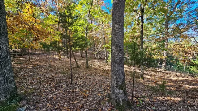 $27,000 | Lot #1387 Via Bella Vista, Sunrise Beach, MO 65079