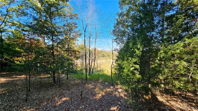 $27,000 | Lot #1387 Via Bella Vista, Sunrise Beach, MO 65079