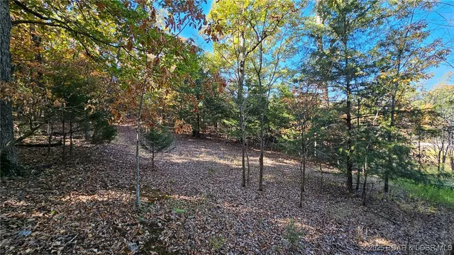 $27,000 | Lot #1387 Via Bella Vista, Sunrise Beach, MO 65079