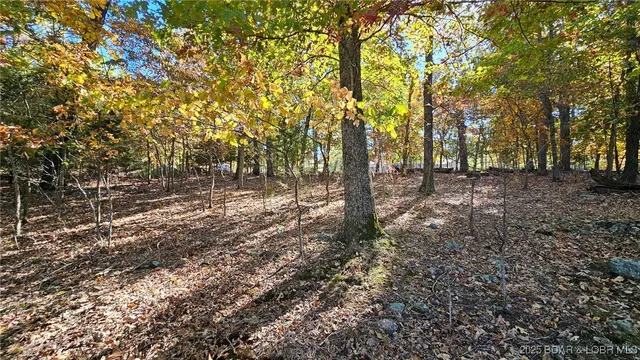 $27,000 | Lot #1387 Via Bella Vista, Sunrise Beach, MO 65079
