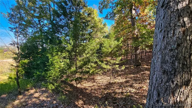 $27,000 | Lot #1387 Via Bella Vista, Sunrise Beach, MO 65079