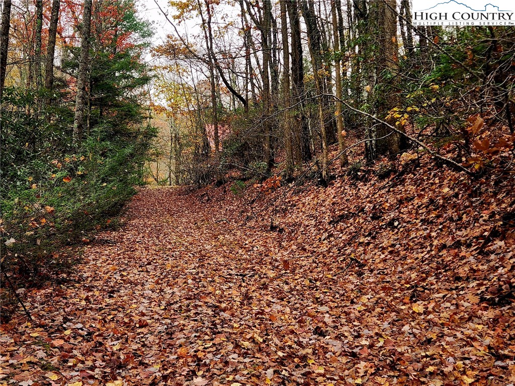 2876 Howard's Creek Road Boone, NC 28607 - Photo 15 of 34 a view of a yard with a tree