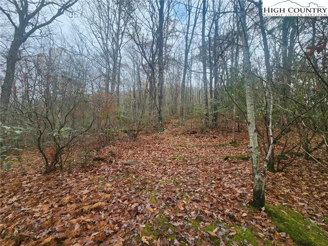 a view of a yard with trees