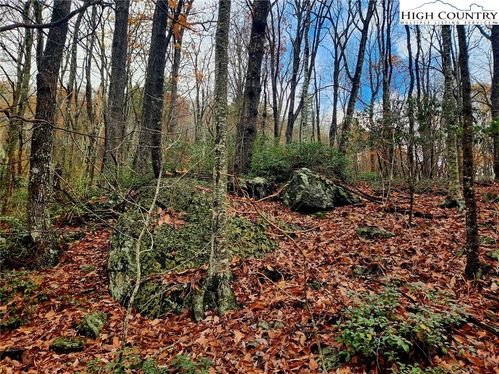 2876 Howard's Creek Road Boone, NC 28607 - Photo 27 of 34 a view of outdoor space and trees