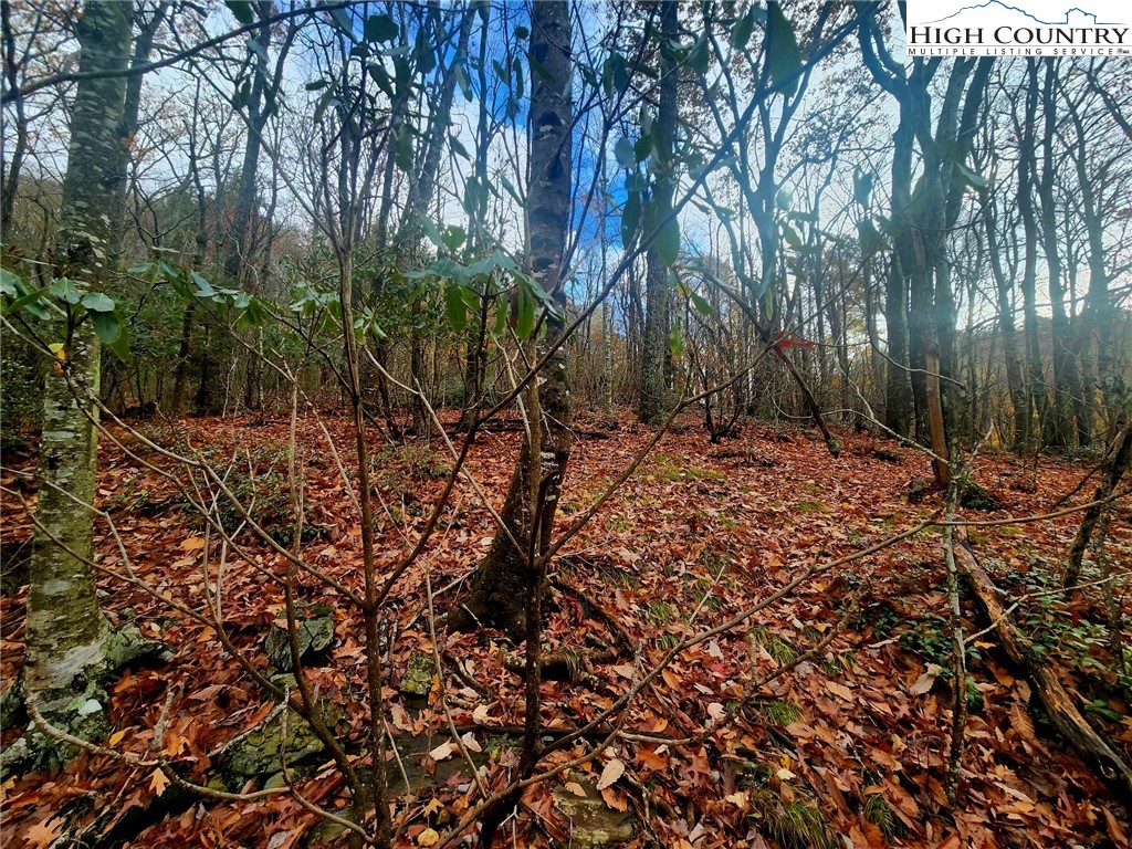 2876 Howard's Creek Road Boone, NC 28607 - Photo 30 of 34