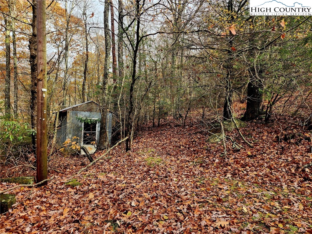 2876 Howard's Creek Road Boone, NC 28607 - Photo 7 of 34 a pathway of a house with a yard