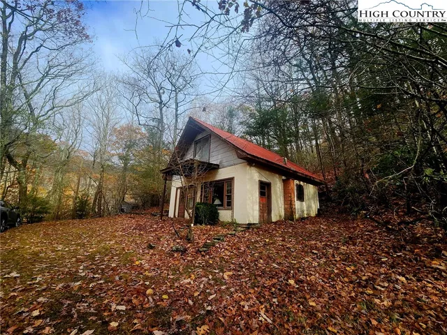 a view of a house with a large tree and a yard