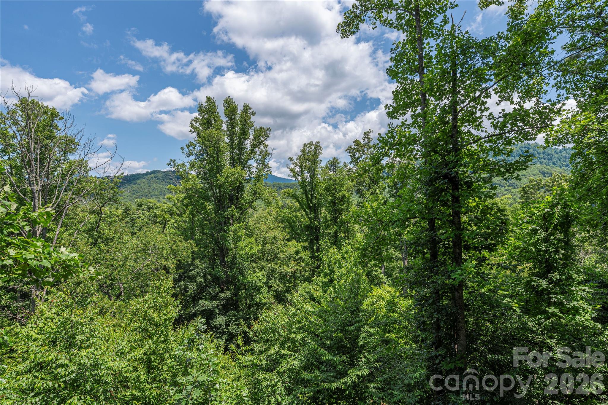 30 Garren View Drive Fairview, NC 28730 - Photo 9 of 35
