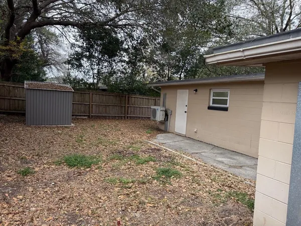 a view of backyard and tree