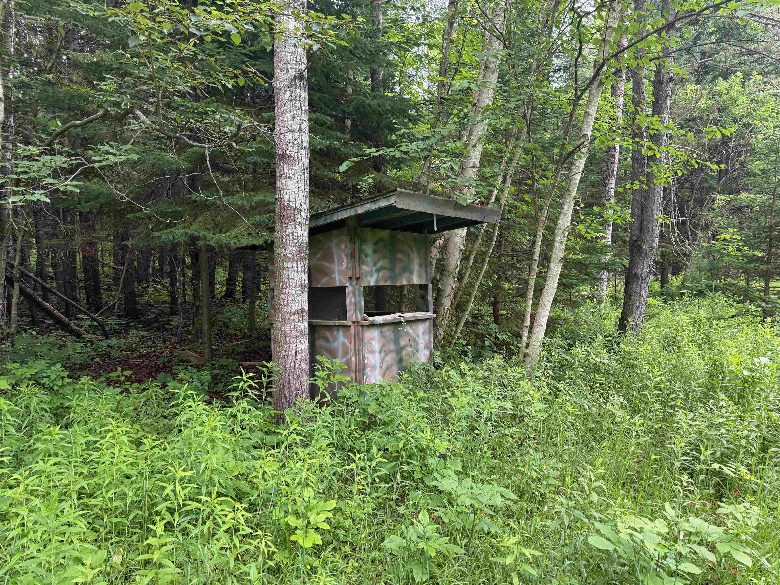 0 South Good Harbor Trail Cedar, MI 49621 - Photo 6 of 13