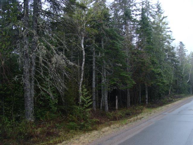 30 Clarkside Road Pembroke, ME 04666 - Photo 3 of 7 Photo
