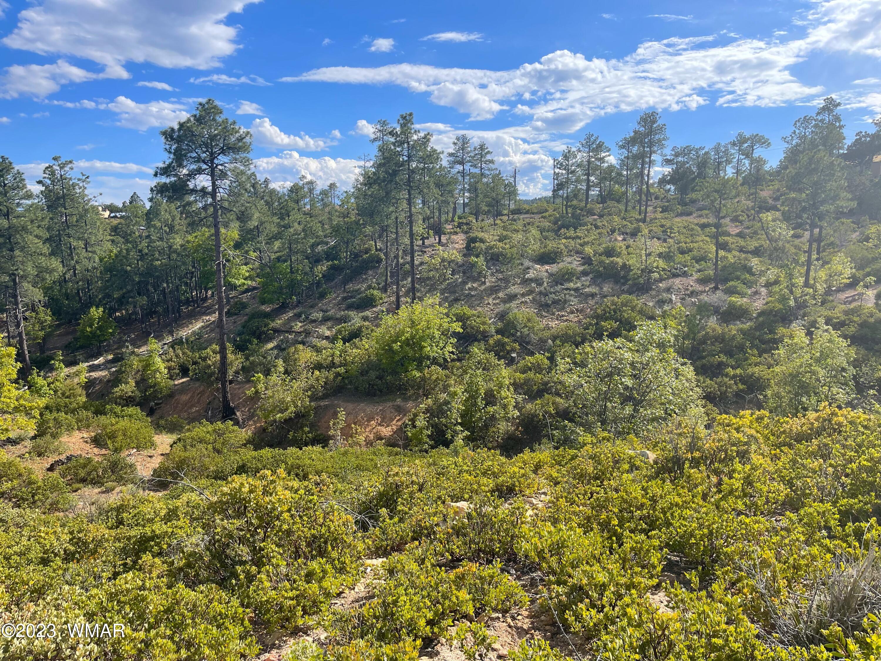 6303 Deer Run Road Show Low, AZ 85901 - Photo 6 of 9 Gallery Image 6