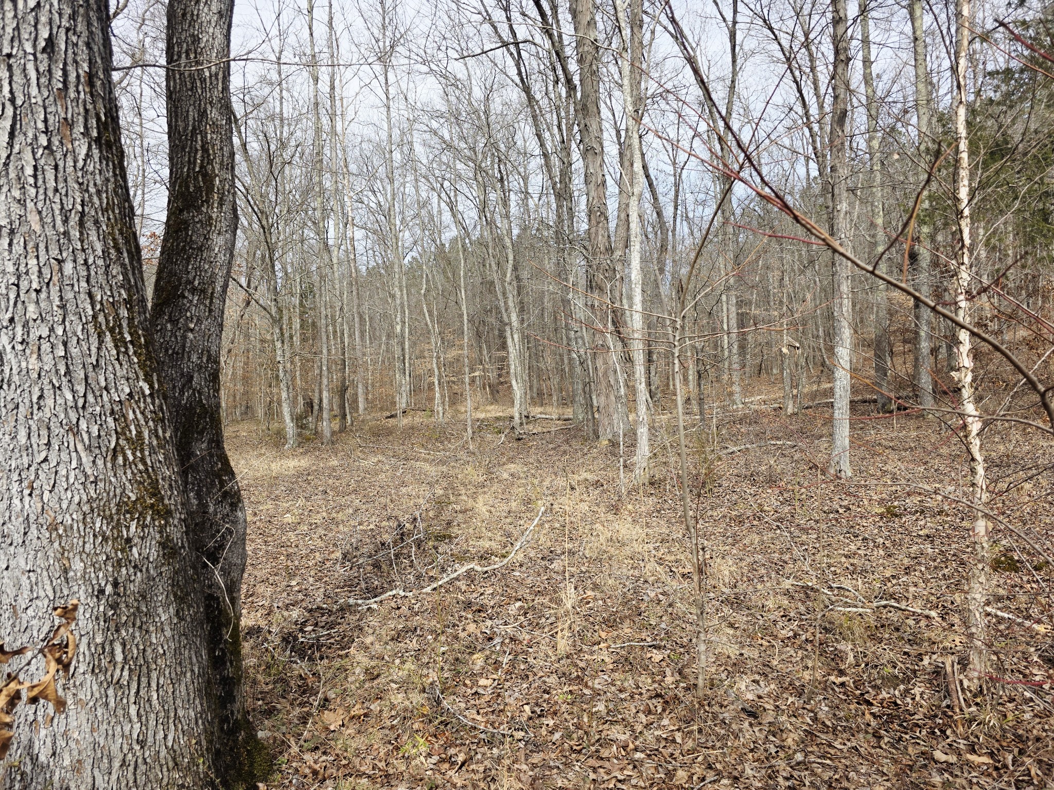 0 Birdsong Road Holladay, TN 38341 - Photo 25 of 70