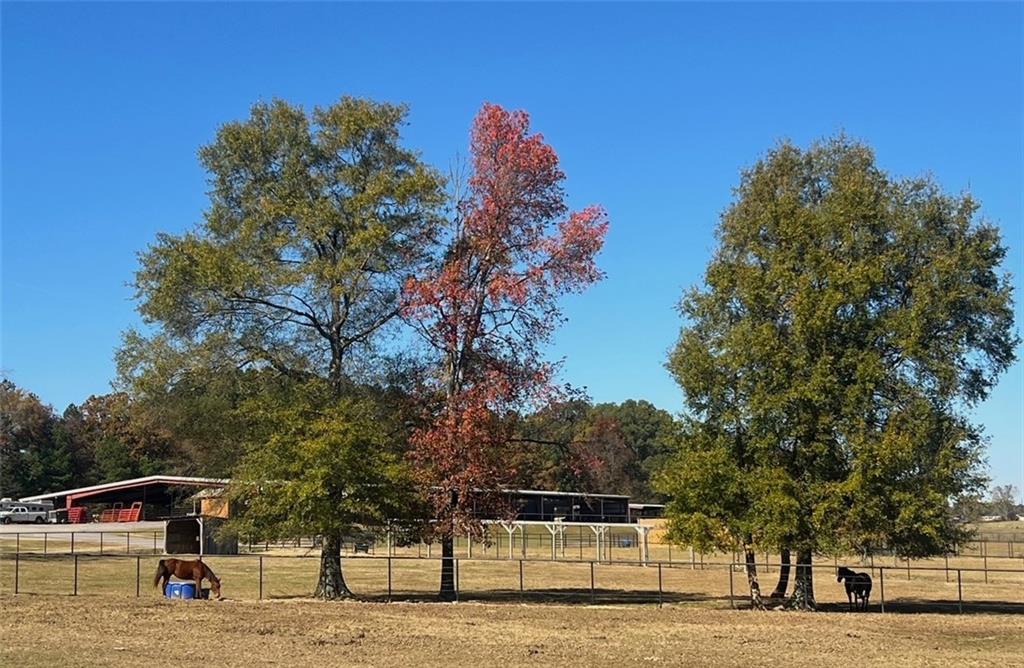 486 County Line Road Resaca, GA 30735 - Photo 12 of 66