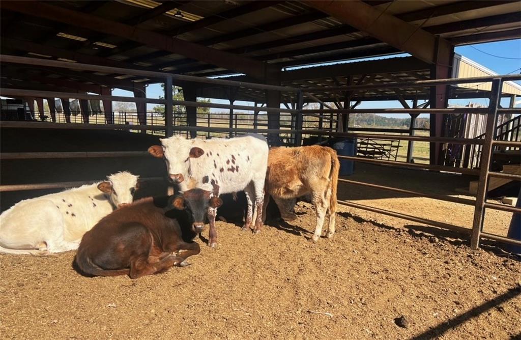 486 County Line Road Resaca, GA 30735 - Photo 28 of 66