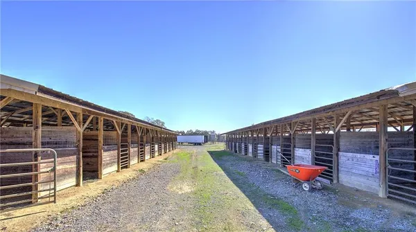 a view of yard with trees