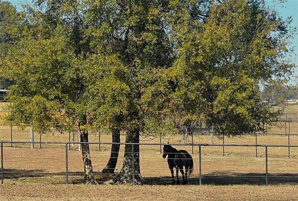 486 County Line Road Resaca, GA 30735 - Photo 34 of 66