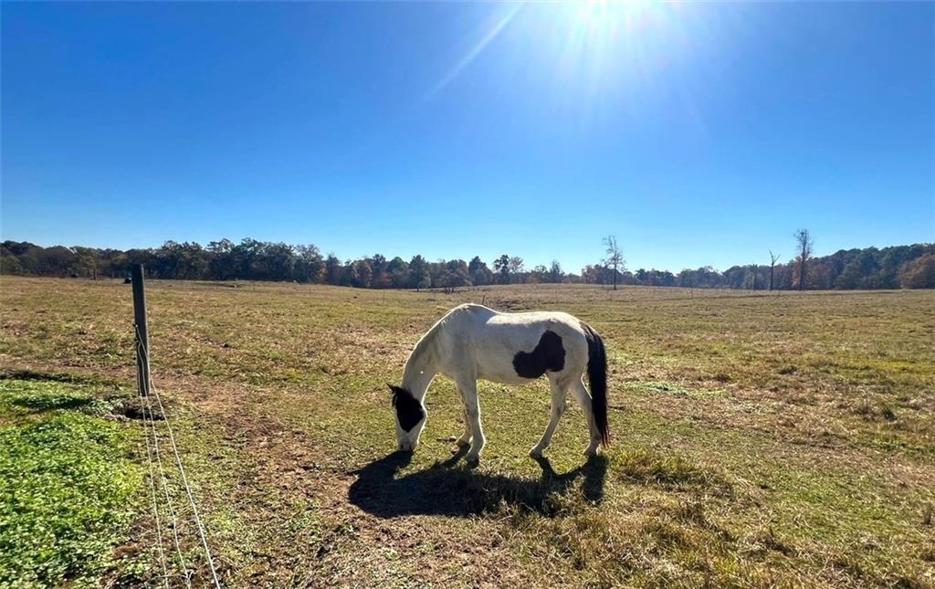 486 County Line Road Resaca, GA 30735 - Photo 35 of 66
