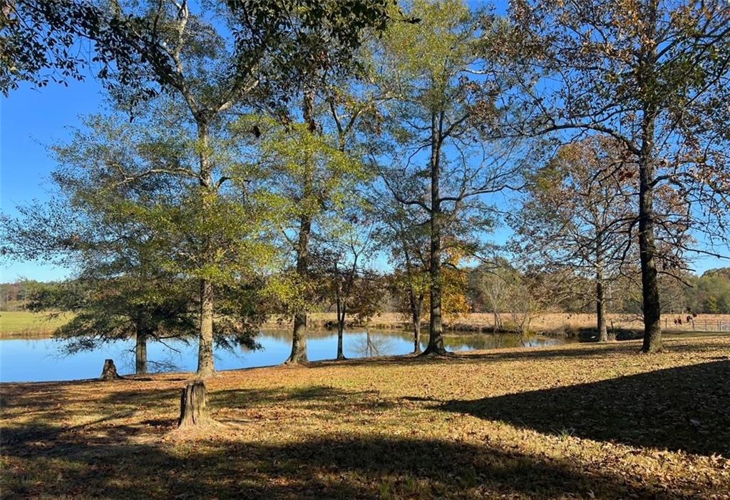 486 County Line Road Resaca, GA 30735 - Photo 38 of 66 a view of a yard with a tree