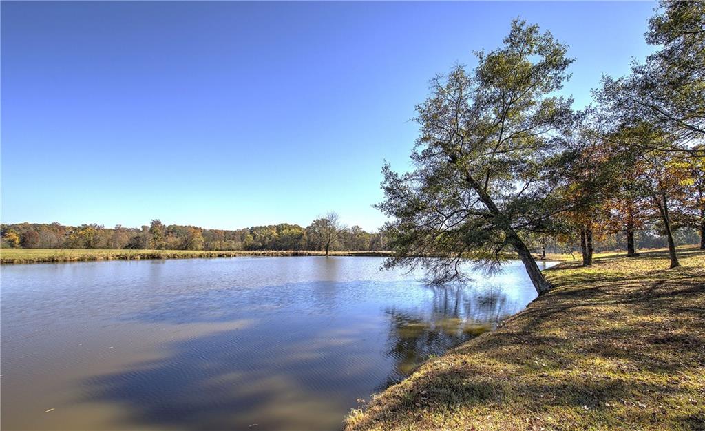486 County Line Road Resaca, GA 30735 - Photo 39 of 66 a view of lake