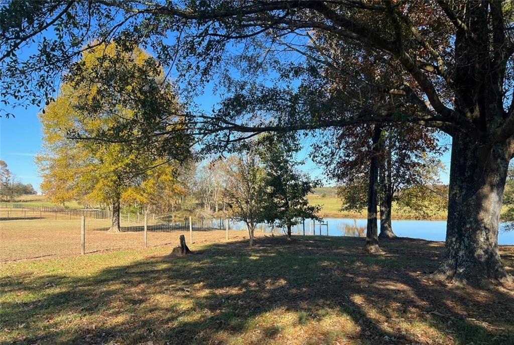 486 County Line Road Resaca, GA 30735 - Photo 40 of 66 a view of yard with trees